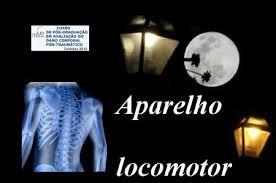 Medicina de reparação - Vídeo do youtube
