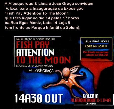 Fish pay attention to the moon
